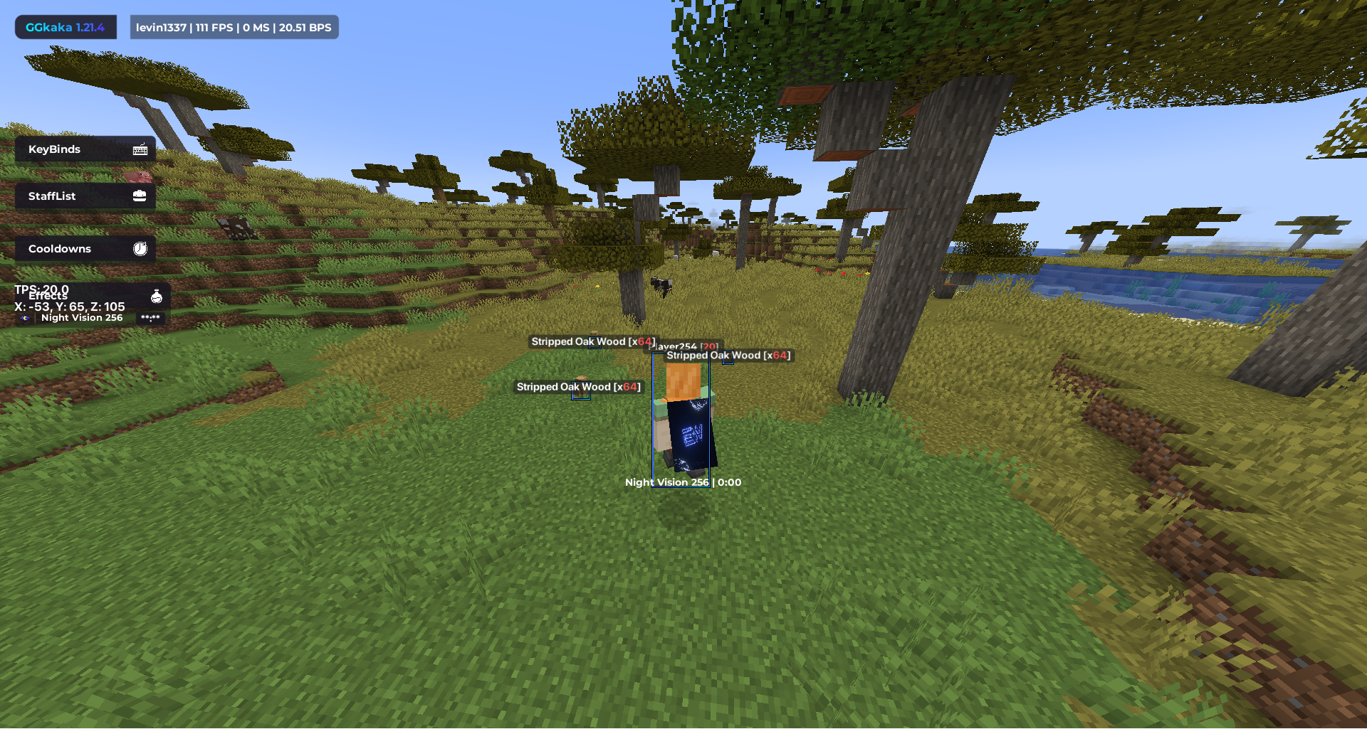 GGkaka Client Screenshot 2